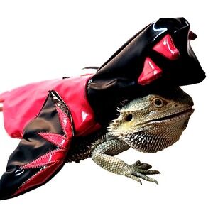 Thrills & Chills Halloween Devil Breaded Dragon Reptile Costume Brand New